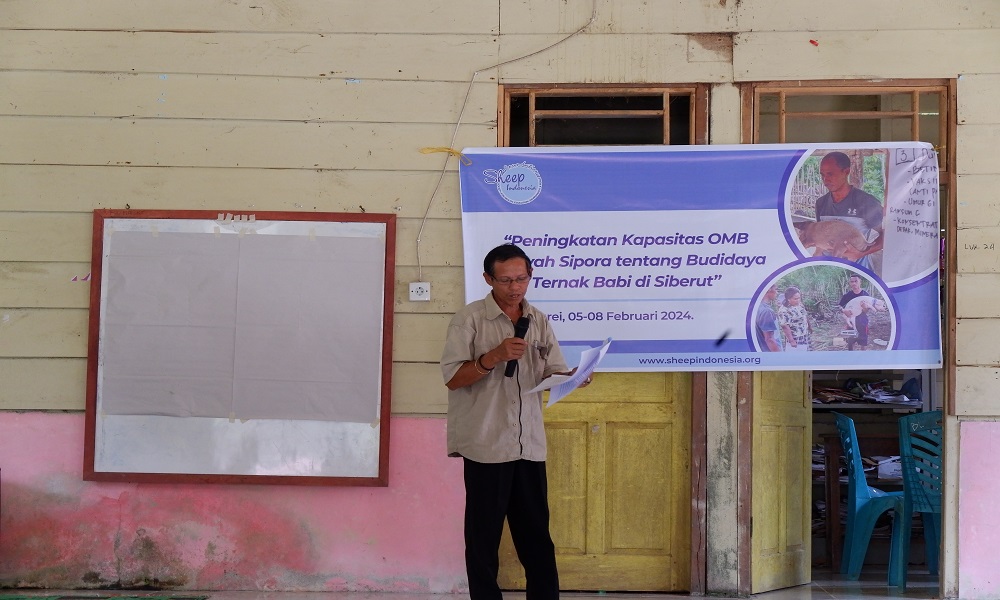 Menguatkan Kapasitas anggota OMB: Pelatihan Pengelolaan Peternakan Babi dan Musrenbangdes di Wilayah Sipora dan Siberut