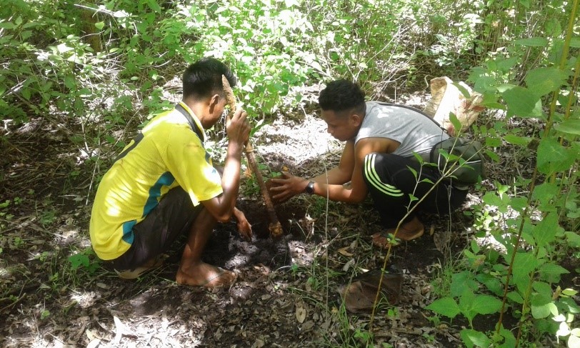 Conservation through Tree Planting Around the Springs of Eimadake Village