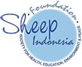 Official Yayasan SHEEP Indonesia Website