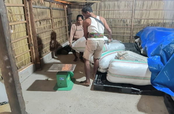 Semakin Perkuat Akses Pasar dan Nilai Jual Rumput Laut Jiwuwu